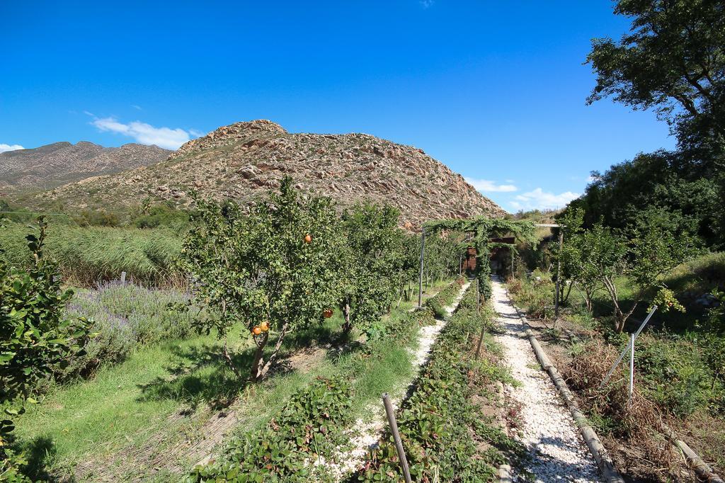 Kogman & Keisie Guest Farm Villa Montagu Eksteriør bilde
